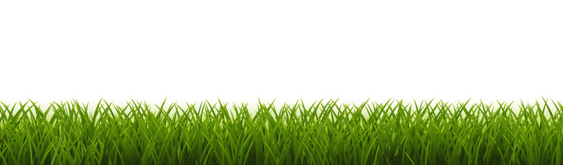 Fototapeta premium Green Grass Border White Background