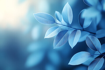 Fototapeta premium A serene close-up of blue-toned leaves against a soft background, evoking tranquility.
