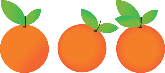 Set of Orange Fruits with Green Leaves Vector Illustration on a Transparent Background.