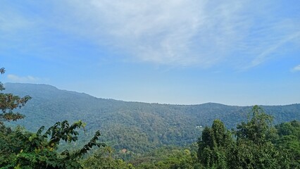 landscape with trees and clouds