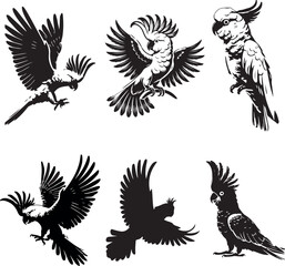 Obraz premium Cockatoo birds vector set silhouette