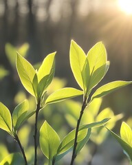 Vibrant green leaves glistening in sunlight, symbolizing new beginnings and growth on a warm, sunny morning