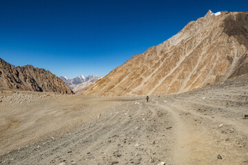 Trekking in the high meadows of Shimshal Pass, Shimshal, Gojal, Pakistan