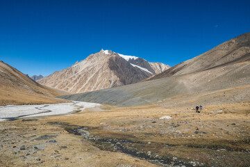 Trekking in the high meadows of Shimshal Pass, Shimshal, Gojal, Pakistan