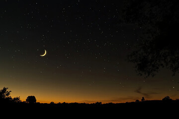 Night sky with a crescent moon and scattered stars, adding a mystical atmosphere