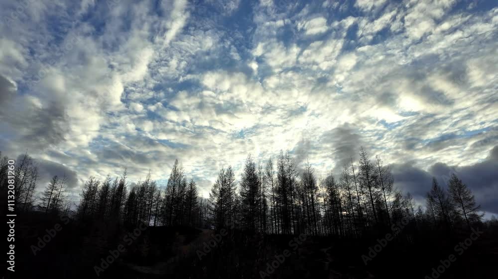 Poster a breathtaking view of the sky filled with dynamic cloud formations above a silhouette of trees. the