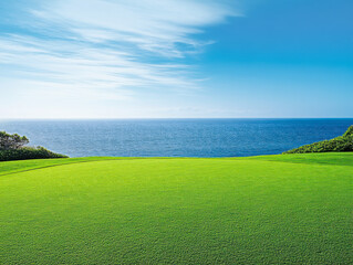 Beautiful green grass lawn with a blue sky and sea background