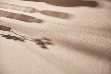 Warm sunlight streaming in through the window, beige background, flowers, vases, and a table with plants. Harmony of light and shadow.