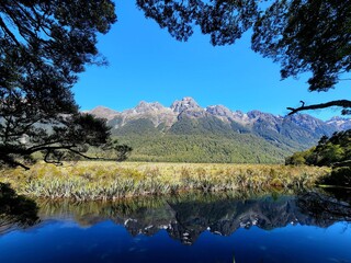 mt rainier national park