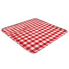 Fototapeta premium Red and white checkered picnic blanket