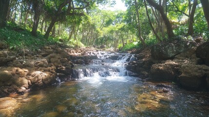 The cool, crystal-clear water of the small waterfall flows down a rocky incline, creating a stream that snakes through the lush forest floor.