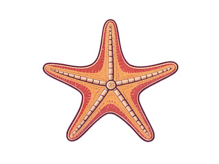 a starfish retro illustration on transparent