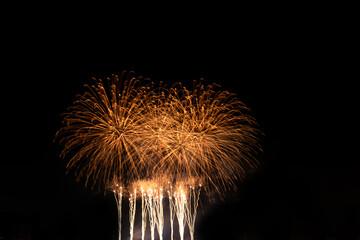 Abstract Freworks stock Image In Black Background