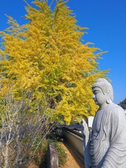 教福寺2024【香川県高松塩江町2
