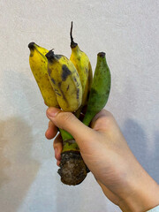 Ducasse Banana