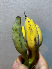 Ducasse Banana