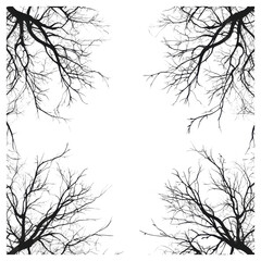 Fototapeta premium Silhouetted branches reaching towards the sky nature scene minimalist art abstract viewpoint serenity concept