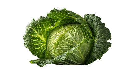 Obraz premium cabbage isolated on white background.Fresh Green Cabbage - A Versatile and Healthy Vegetable.