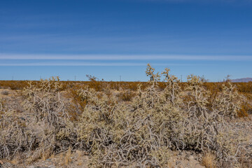 Mojave National Preserve , San Bernardino County, California. Mojave Desert / Kelso Mountains. ...