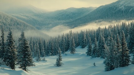 Fototapeta premium A serene winter landscape featuring snow-covered mountains and evergreen trees.