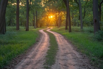 Fototapeta premium A Winding Forest Path at Sunset