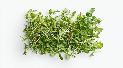 Obraz premium Fresh mixed greens salad in minimalist food photography style
