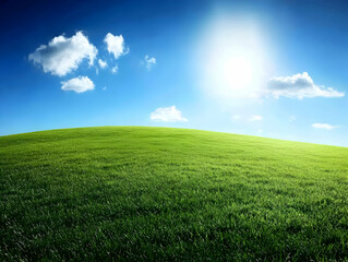 Obraz premium Green Field Sunny Day Background Illustration