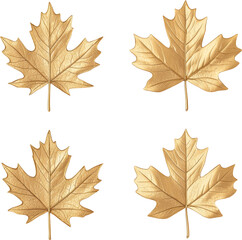 Obraz premium maple leaves 