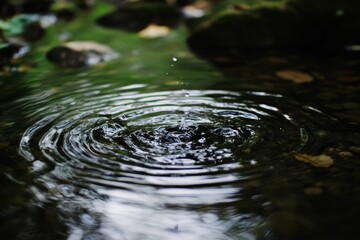 Water droplet ripples, dark, rocky stream.