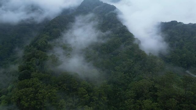 Aerial drone movement cinematic of Mount Geger Bentang, Cianjur, Indonesia. A thin mist covers some parts of the forest.