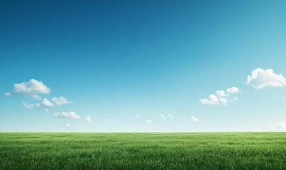 Obraz premium Vast green field, blue sky, fluffy clouds.