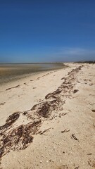 Little Lagoon Creek in Denham, Western Australia