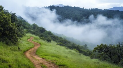 Obraz premium Misty mountain path, green grass, winding trail.