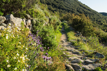 Wanderweg zum Monte Cenno, Insel Elba, Toskana, Italien