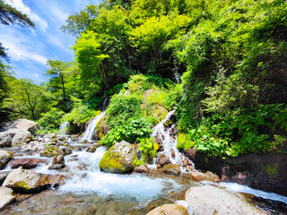 吐竜の滝