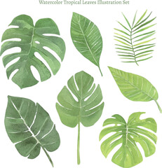 Obraz premium Watercolor Tropical Leaves Illustration Set