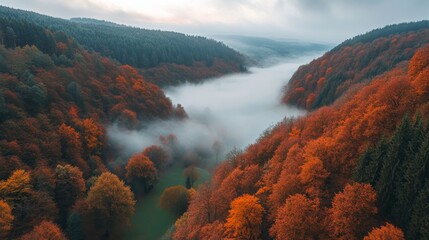 Autumnal Foggy Valley - Breathtaking Fall Colors