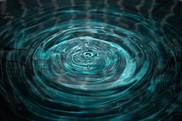 Water Ripple with Droplet
A mesmerizing image of a water droplet creating ripples on a calm teal...