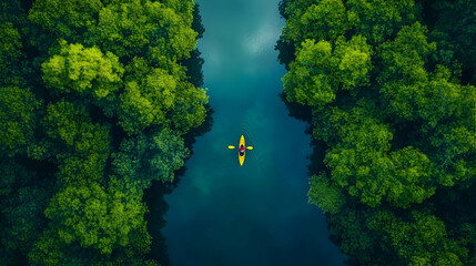 Aerial View Kayaking Jungle River - Drone Photo