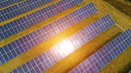 Solar Panels Absorbing Sunlight in Open Field
