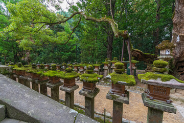 Kasuga-Taisha is Shinto shrine in Nara Prefecture in Japan and registered as UNESCO World Heritage Site. It is well known for its over 2000 stone lanterns and 1000 bronze suspended  lanterns.