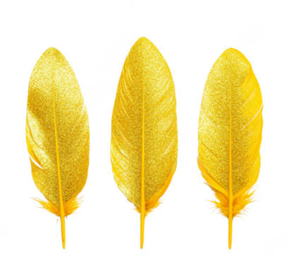 golden yellow glitter shiny feather 