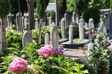 Old Ottoman tombstones in Suleymaniye Mosque's cemetery. Istanbul, Turkey.