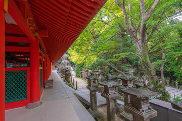Kasuga-Taisha is Shinto shrine in Nara Prefecture in Japan and registered as UNESCO World Heritage...