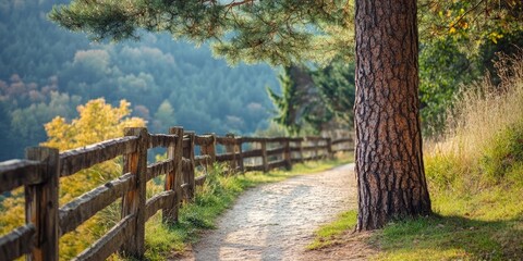 Fototapeta premium A solitary tree trunk positioned along a pathway next to a wooden fence, showcasing the natural beauty of the tree trunk in an outdoor setting. Enjoy the tranquil view of the tree trunk.