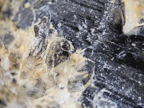 macro photography of quartz and morion crystals