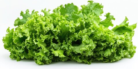 Fototapeta premium Fresh green lettuce displayed on a white background, showcasing the vibrant colors and crisp texture of the fresh green lettuce, perfect for healthy culinary creations and presentations.