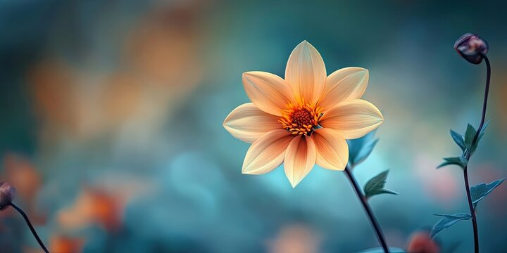 Stunning natural flower showcasing the beauty of noyon tara, an exquisite natural flower that captivates with its enchanting view in high definition. Discover the charm of natural flowers through this