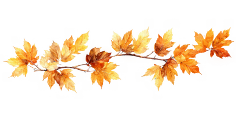 Digital illustration branch autumn leaves are various foliage garland