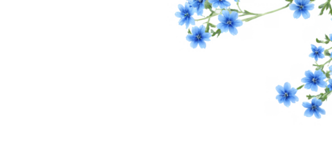 Digital illustration bunch small blue flowers are delicate forget-me-not blooms as